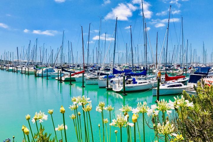 Auckland City Highlights