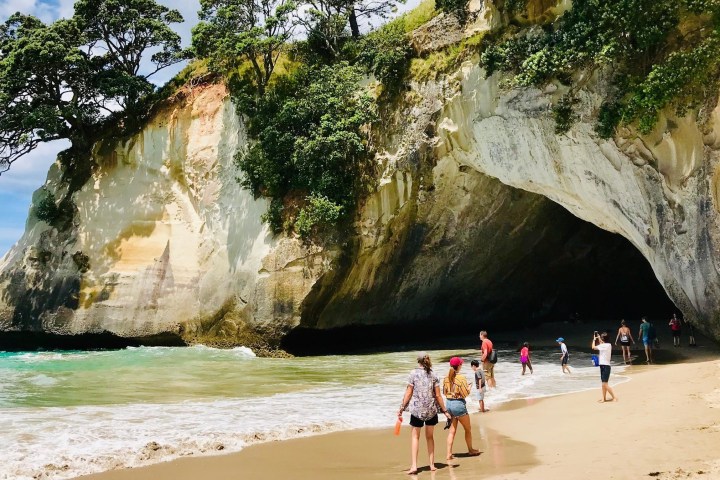 Coromandel Day