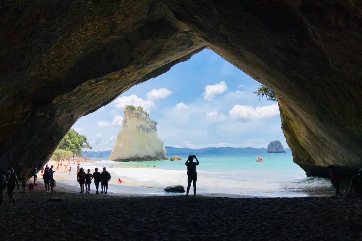 Coromandel Day