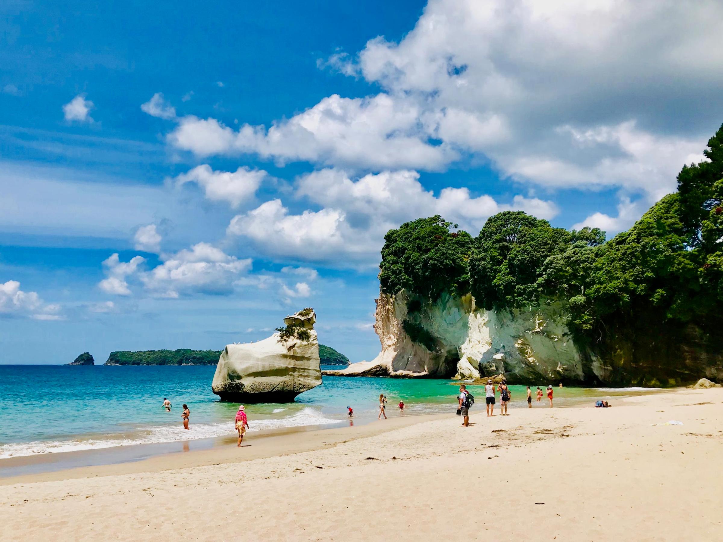 people at the beach at Coromandel Day