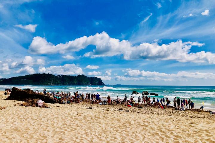 tons of people at the beach during Coromandel Day