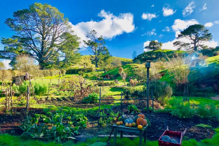 Hobbiton & Rotorua at the garden
