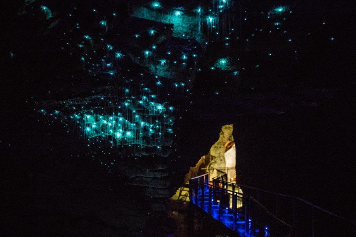 Waitomo Caves
